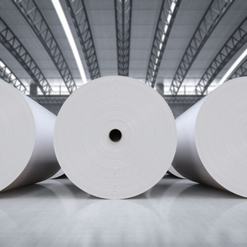 white paper rolls